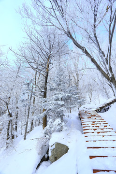 雾凇 冰雪风光 雪景 蓝天白云