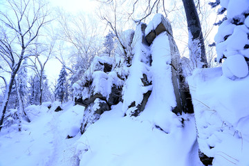 雾凇 冰雪风光 雪景 蓝天白云