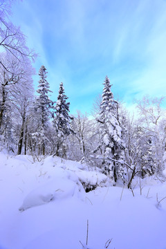 雾凇 冰雪风光 雪景 蓝天白云