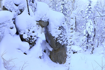 雾凇 冰雪风光 雪景 蓝天白云