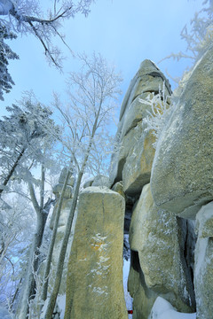 雾凇 冰雪风光 雪景 蓝天白云