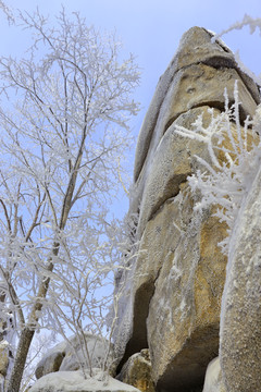 雾凇 冰雪风光 雪景 蓝天白云