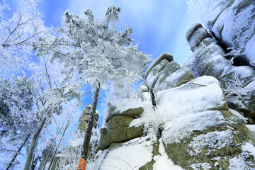 雾凇 冰雪风光 雪景 蓝天白云