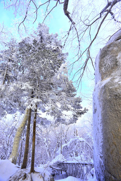 雾凇 冰雪风光 雪景 蓝天白云