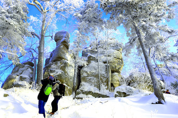 雾凇 冰雪风光 雪景 蓝天白云