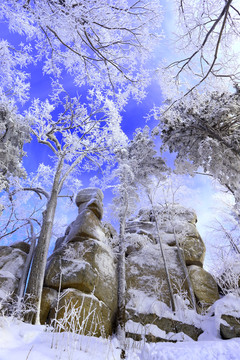 雾凇 冰雪风光 雪景 蓝天白云