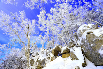 雾凇 冰雪风光 雪景 蓝天白云