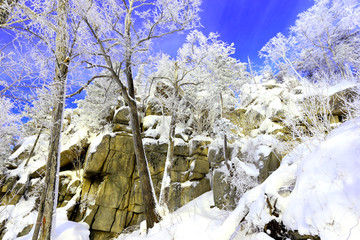 雾凇 冰雪风光 雪景 蓝天白云