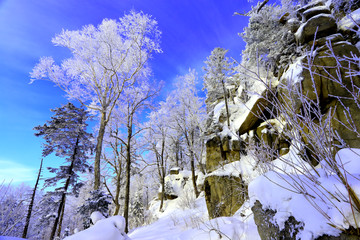 雾凇 冰雪风光 雪景 蓝天白云