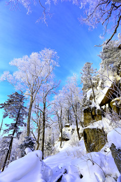 雾凇 冰雪风光 雪景 蓝天白云