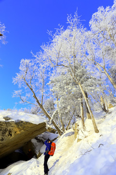 雾凇 冰雪风光 雪景 蓝天白云