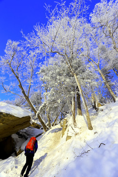 雾凇 冰雪风光 雪景 蓝天白云