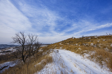 九里山雪霁