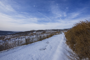 九里山雪霁