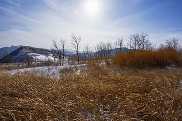 九里山雪霁