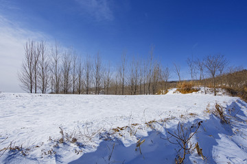 九里山雪霁