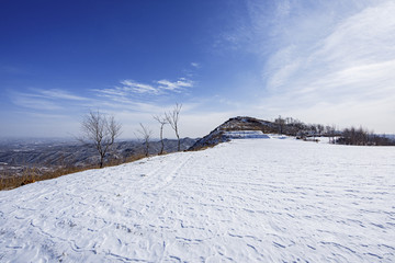 九里山雪霁