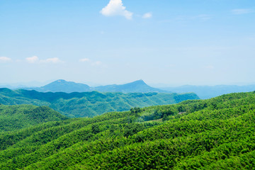 蜀南竹海 航拍竹海全景