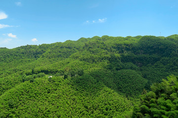 蜀南竹海 航拍竹海全景