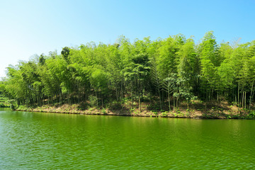 蜀南竹海