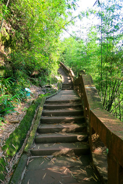 蜀南竹海 登山台阶路