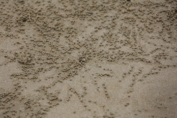 三亚大亚湾小螃蟹洞