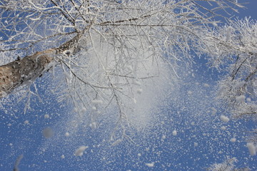 雾淞 雪景 冰天雪地 奇观 玉