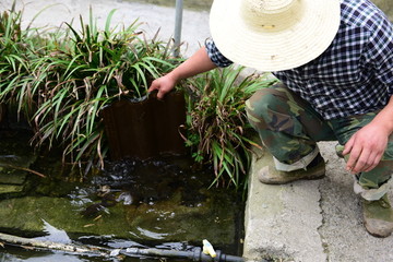 青蛙养殖场