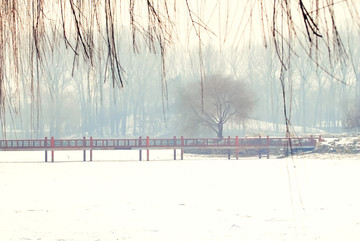 圆明园雪景