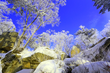 雾凇 冰雪风光 雪景 蓝天白云