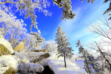 雾凇 冰雪风光 雪景 蓝天白云