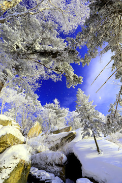 雾凇 冰雪风光 雪景 蓝天白云