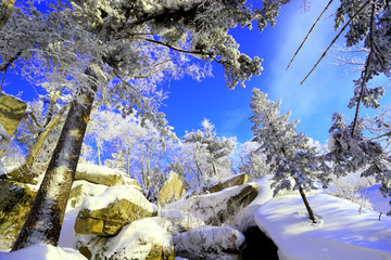 雾凇 冰雪风光 雪景 蓝天白云