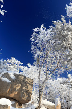 雾凇 冰雪风光 雪景 蓝天白云