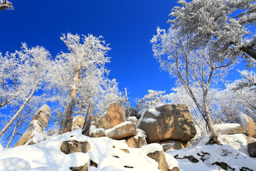 雾凇 冰雪风光 雪景 蓝天白云