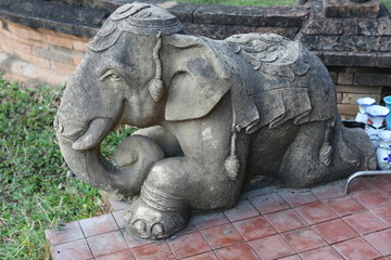 清曼寺的跪跪姿大象