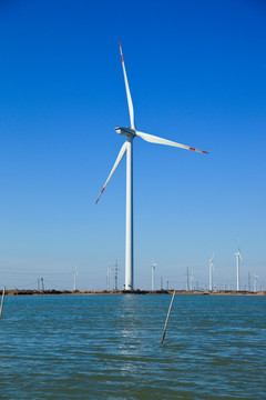 沿海的风力电场 风车 风力发电