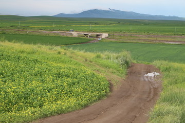 弯弯的田间小路