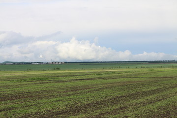 沃土 田野