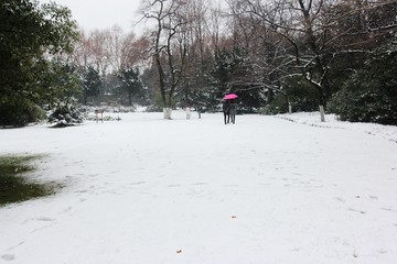 踏雪