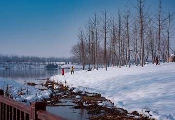 雪景