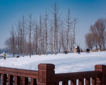 雪景