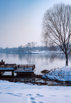 雪景