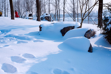 雪景