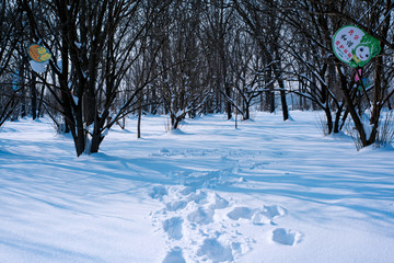 雪地