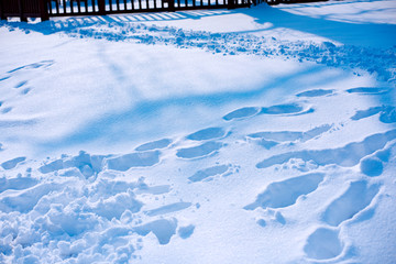 雪地