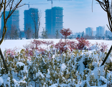 雪景