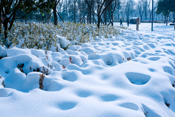 雪景