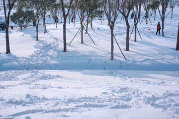 雪景