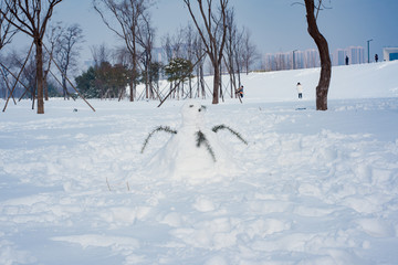 雪景